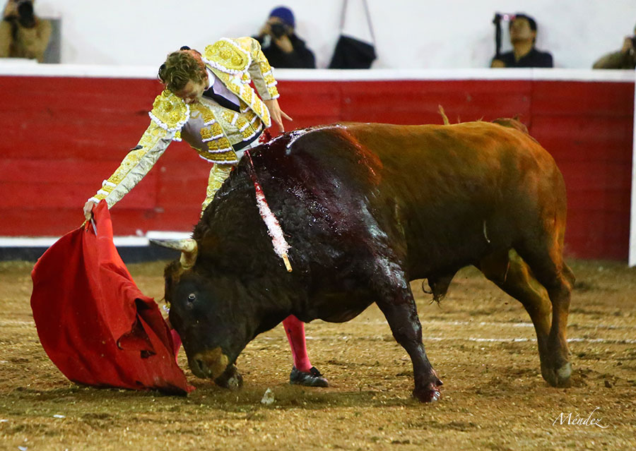 Querétaro (México) - Viernes 30 de noviembre de 2018