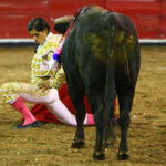 Querétaro (México) - Viernes 30 de noviembre de 2018