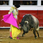 Querétaro (México) - Viernes 30 de noviembre de 2018