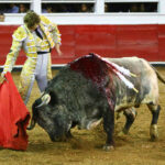 Querétaro (México) - Viernes 30 de noviembre de 2018