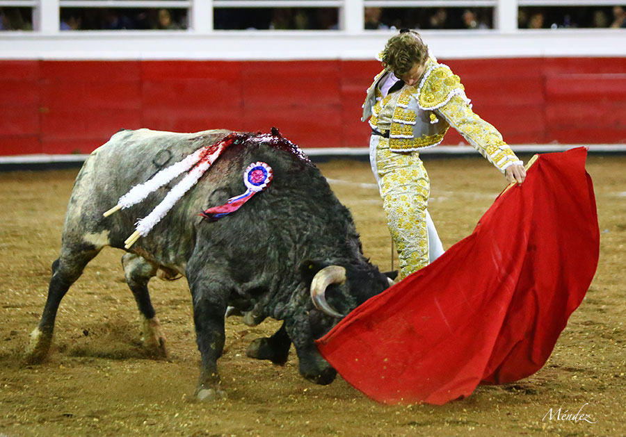 Querétaro (México) - Viernes 30 de noviembre de 2018