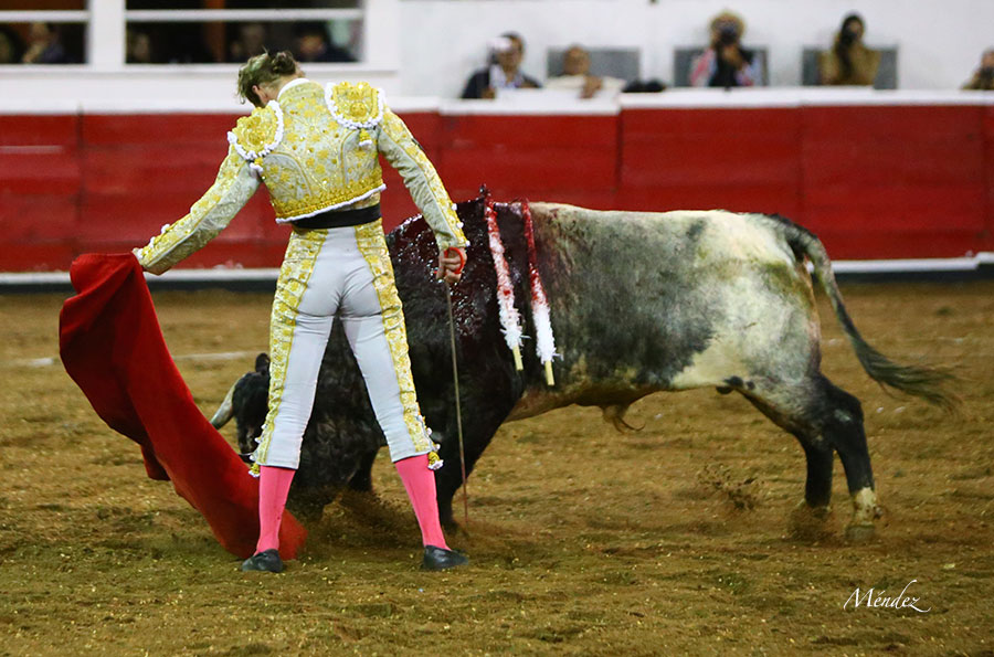 Querétaro (México) - Viernes 30 de noviembre de 2018