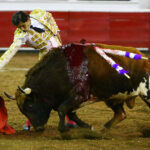 Querétaro (México) - Viernes 30 de noviembre de 2018