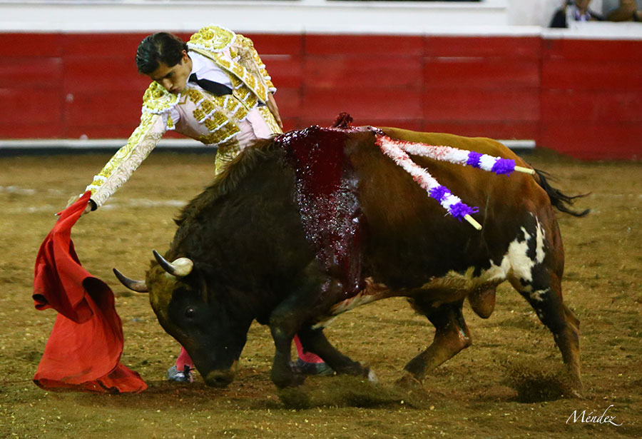 Querétaro (México) - Viernes 30 de noviembre de 2018