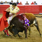 Querétaro (México) - Viernes 30 de noviembre de 2018