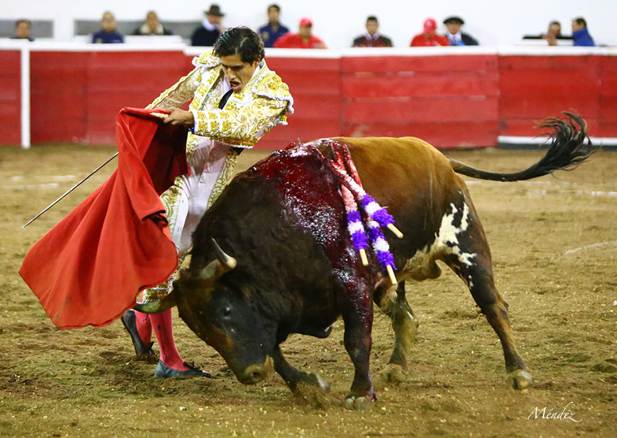 Querétaro (México) - Viernes 30 de noviembre de 2018