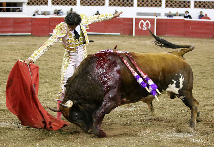 Querétaro (México) - Viernes 30 de noviembre de 2018