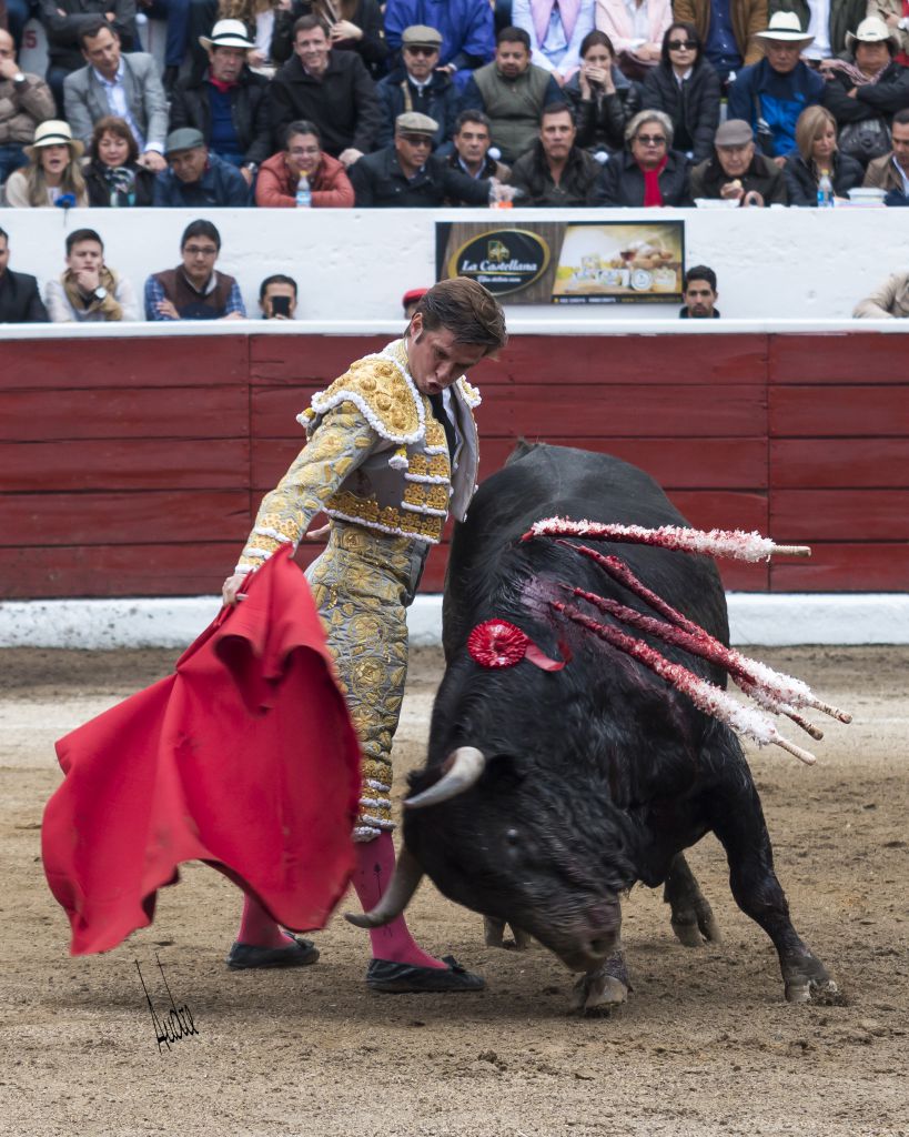 El Juli triunfa en la encerrona en Latacunga (Ecuador) - Viernes 30 de noviembre de 2018