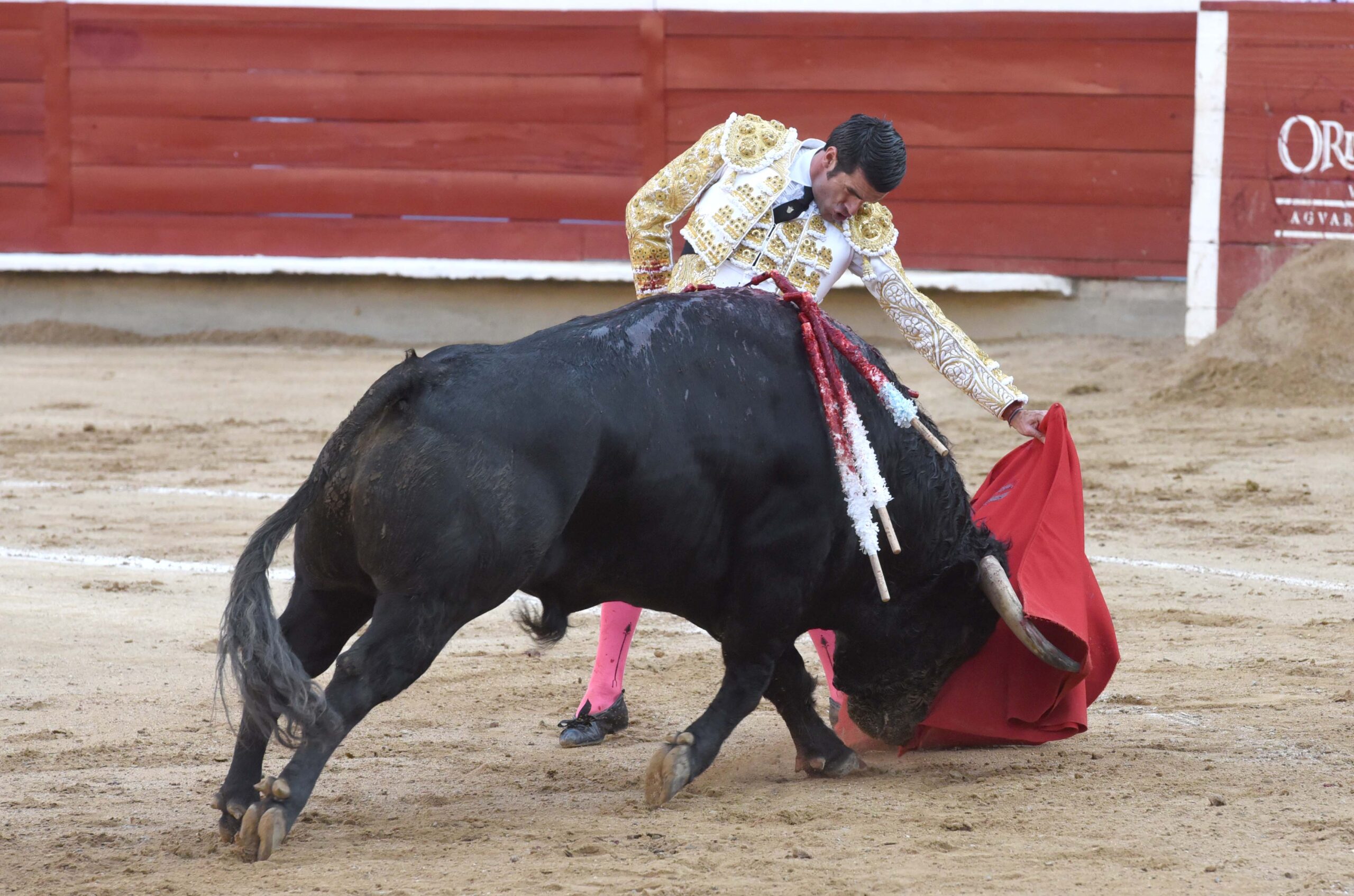Cali (Colombia). Viernes 28 de diciembre de 2018