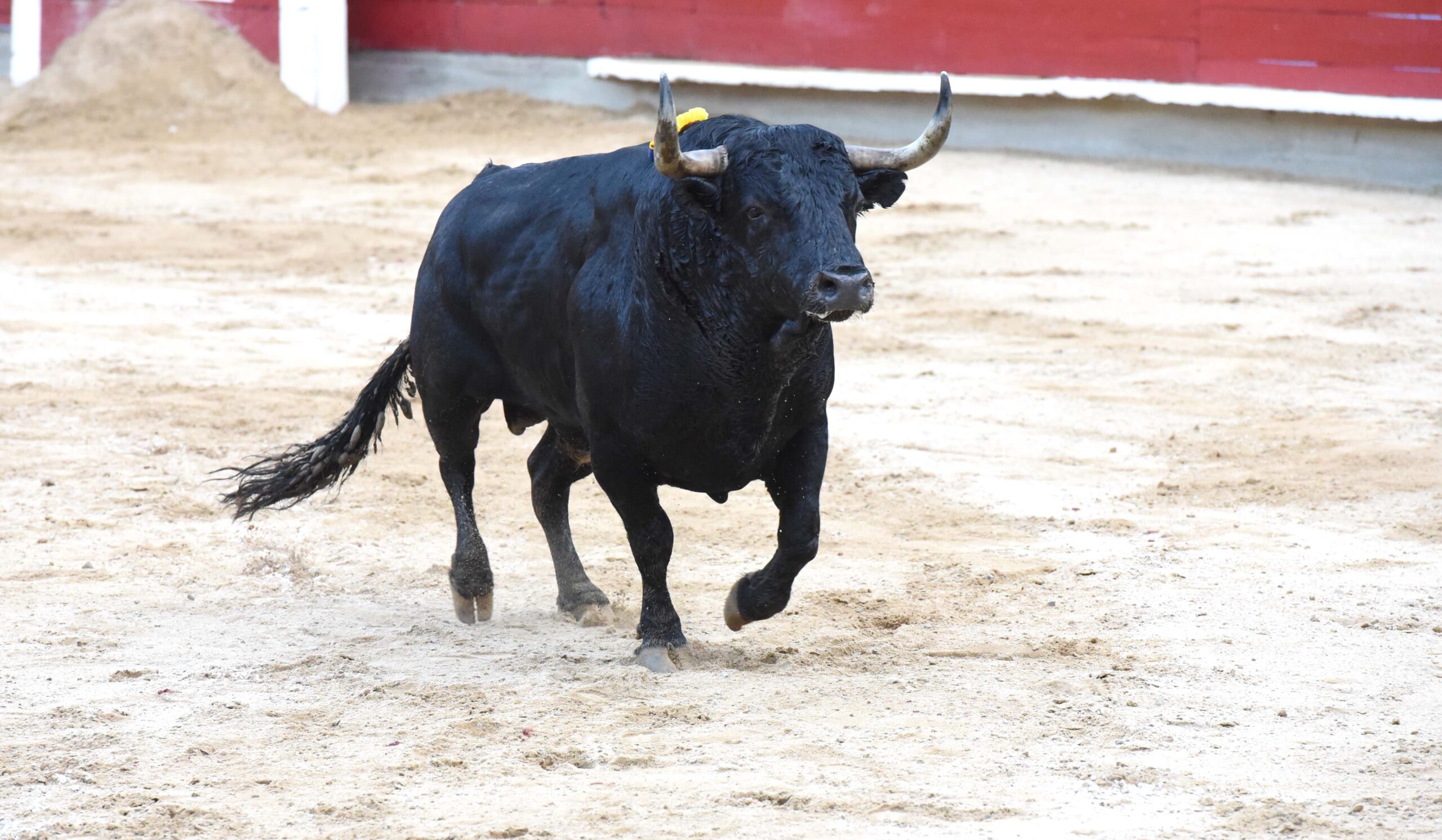 Cali (Colombia). Viernes 28 de diciembre de 2018