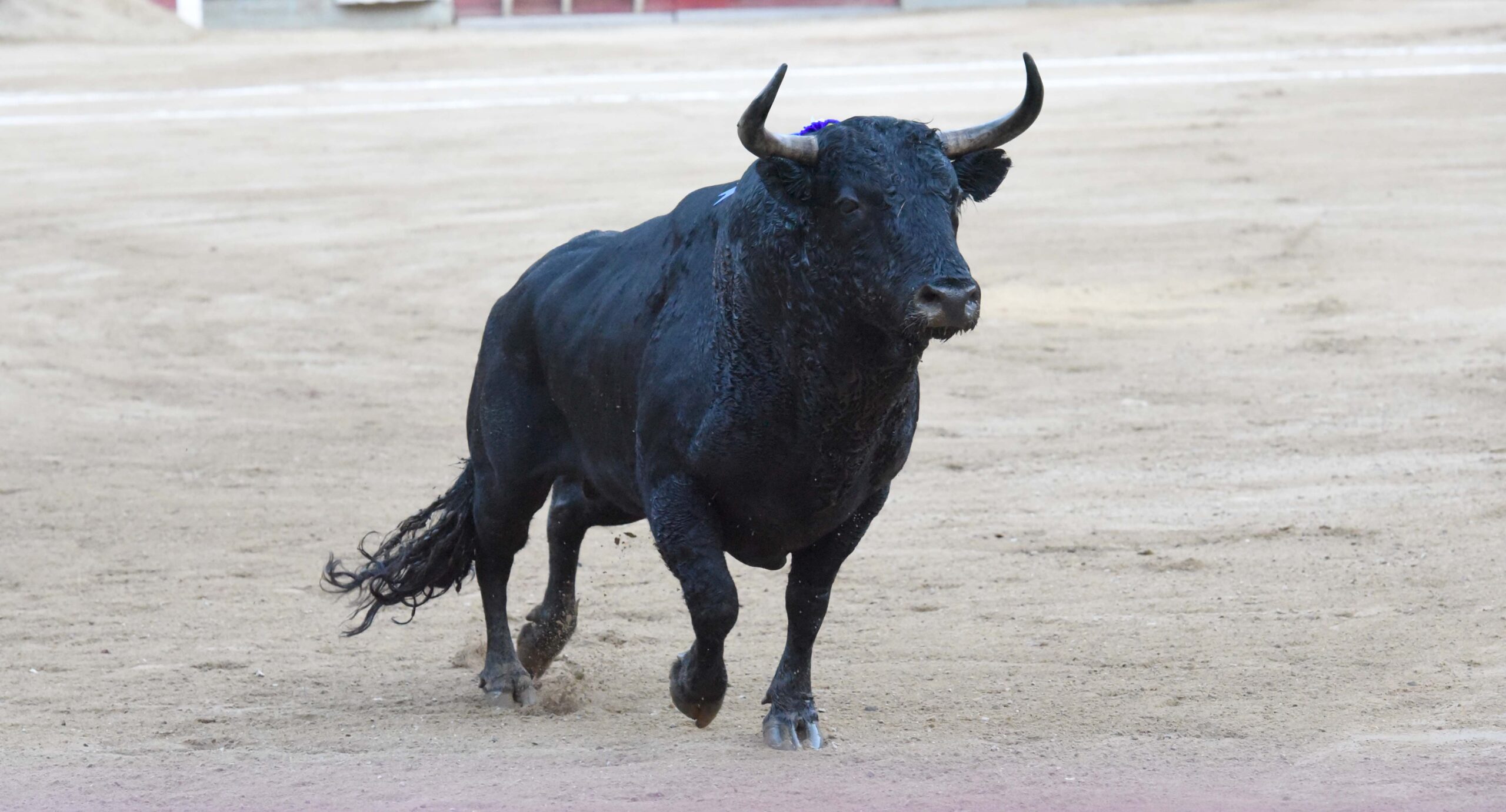 Cali (Colombia). Viernes 28 de diciembre de 2018