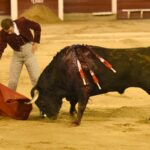 Cali (Colombia), sábado 29 de diciembre de 2018