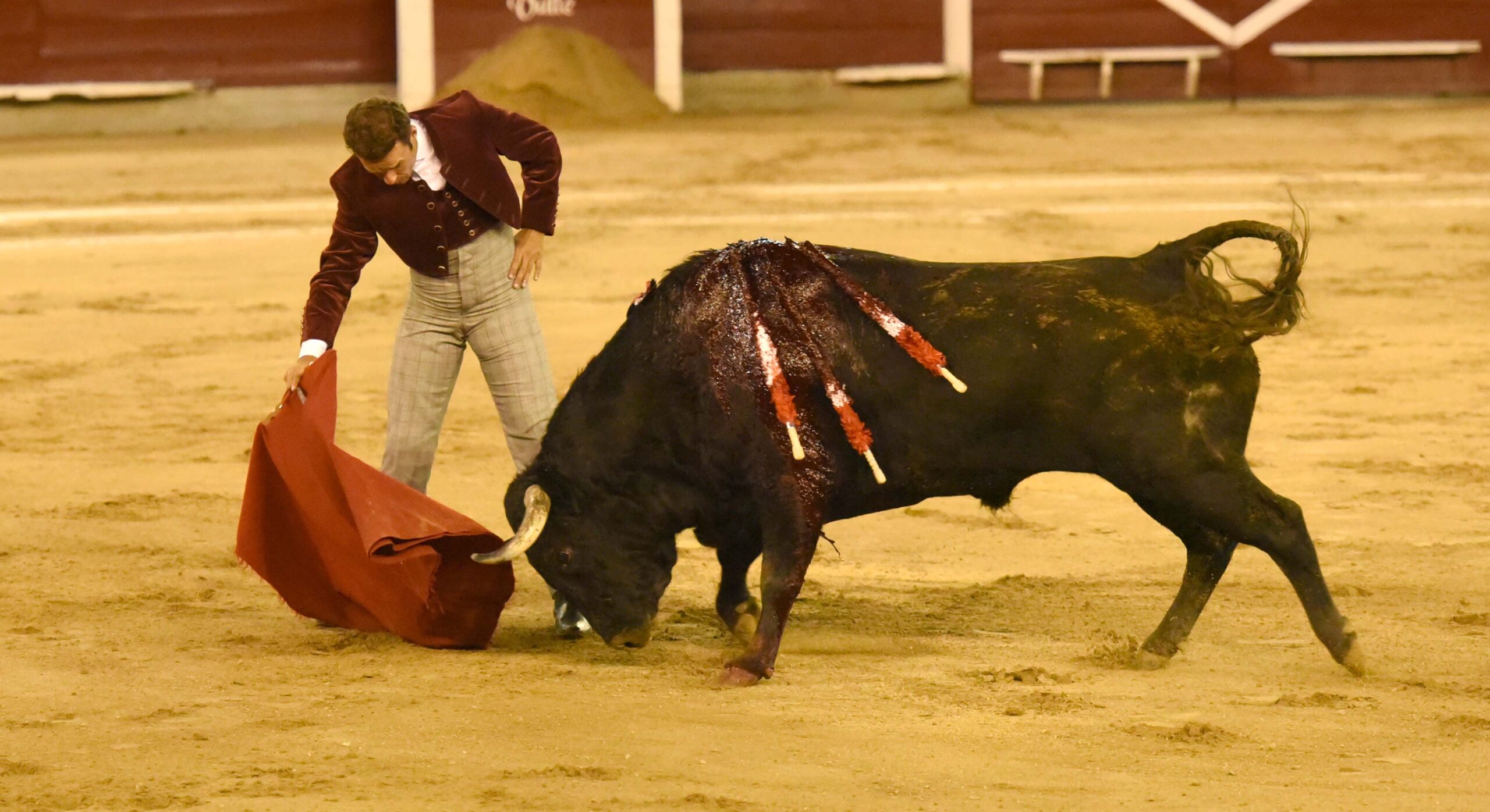 Cali (Colombia), sábado 29 de diciembre de 2018