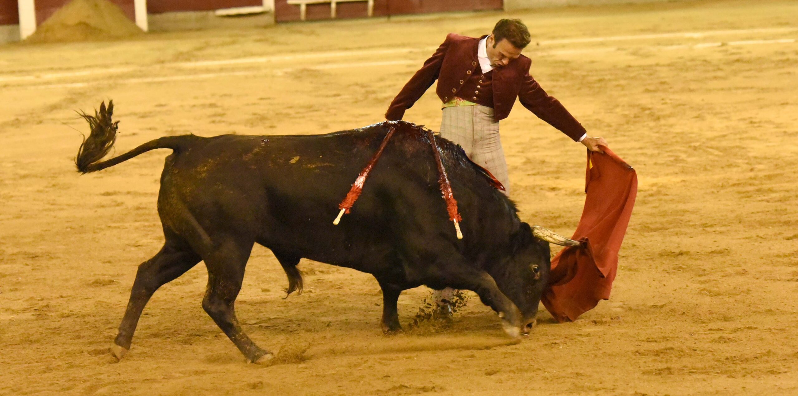 Cali (Colombia), sábado 29 de diciembre de 2018
