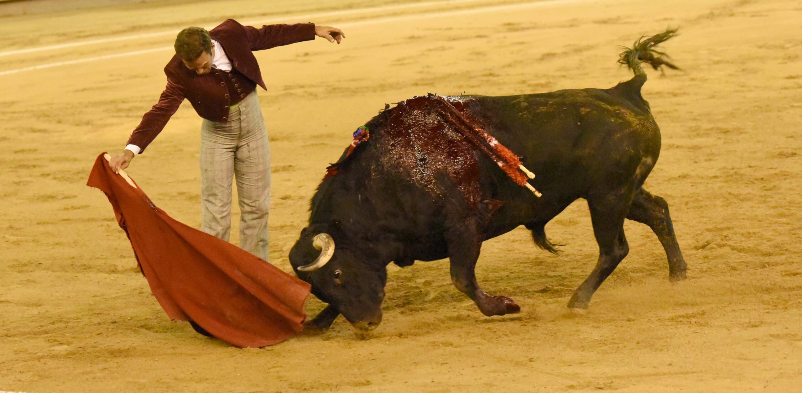 Cali (Colombia), sábado 29 de diciembre de 2018