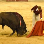 Cali (Colombia), sábado 29 de diciembre de 2018