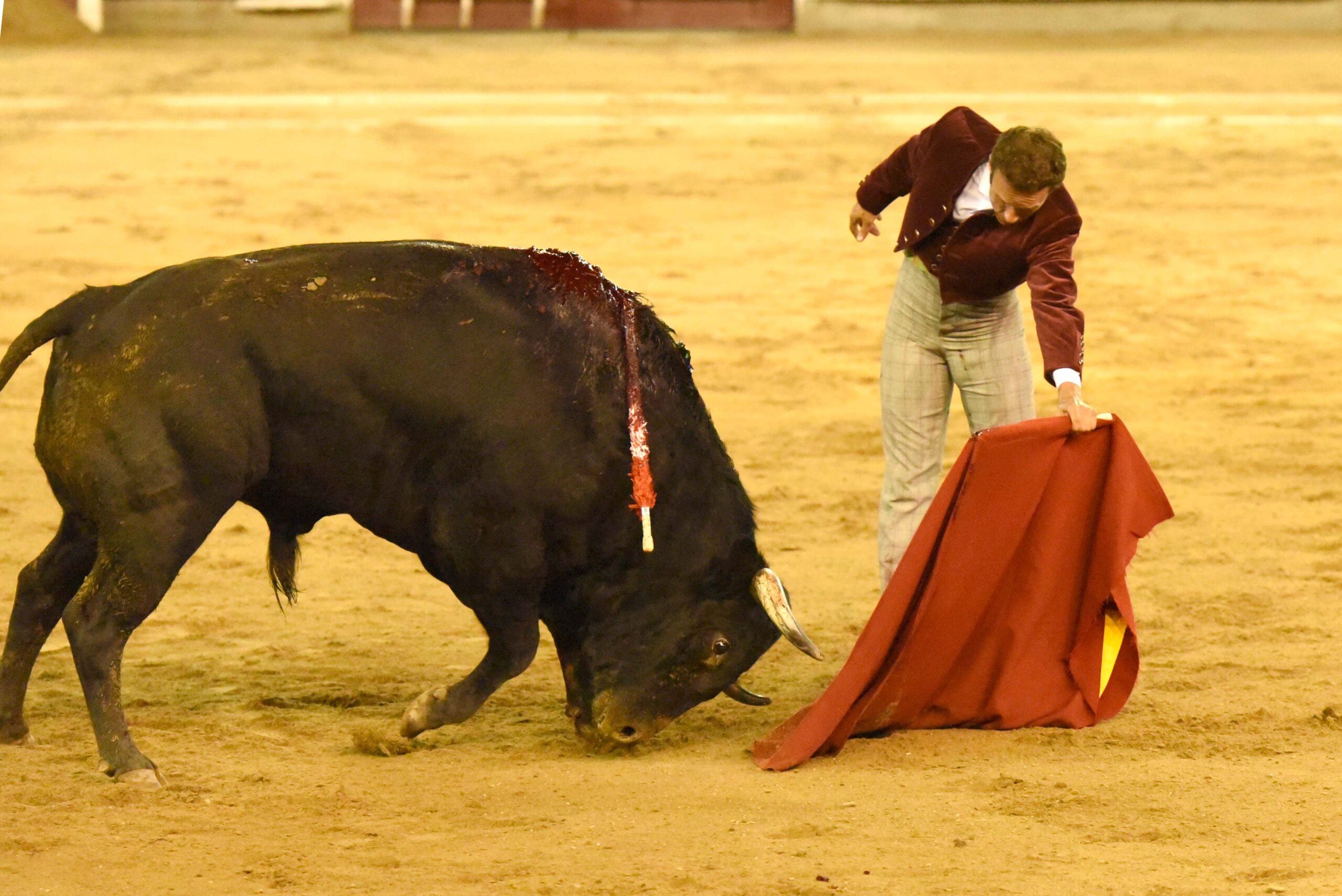 Cali (Colombia), sábado 29 de diciembre de 2018