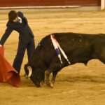 Cali (Colombia), sábado 29 de diciembre de 2018