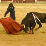 Cali (Colombia), sábado 29 de diciembre de 2018