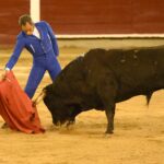 Cali (Colombia), sábado 29 de diciembre de 2018