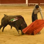 Cali (Colombia), sábado 29 de diciembre de 2018