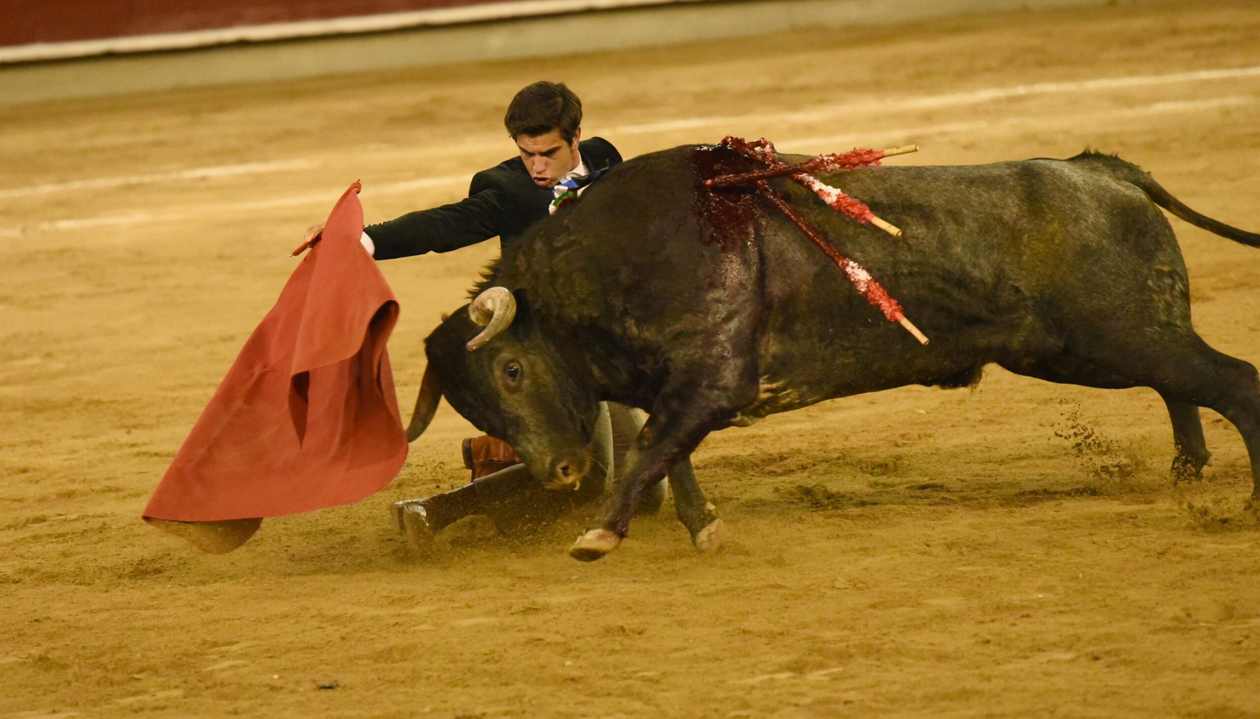 Cali (Colombia), sábado 29 de diciembre de 2018