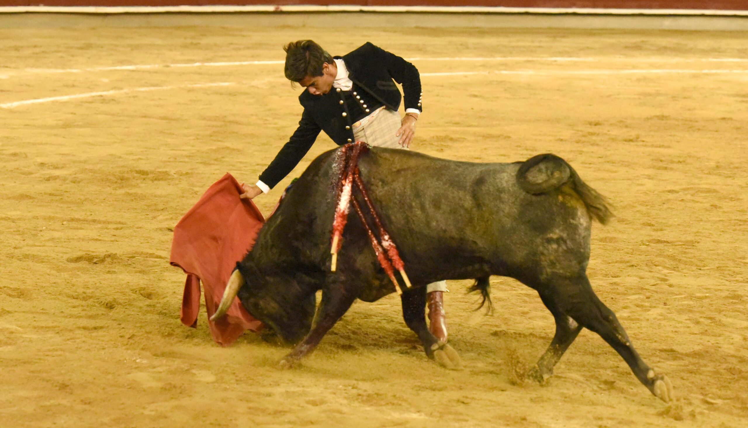 Cali (Colombia), sábado 29 de diciembre de 2018