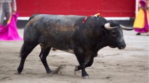 Azpeitia, 29 de julio de 2018