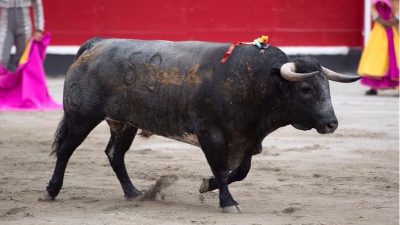 Un clásico, un regreso y un debut en la feria de Azpeitia