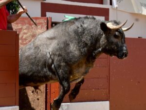 Vic-Fezensac (Francia) - Feria de Pentecostés - Matinal - Domingo 20 de mayo 2018