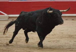 Pamplona, 13 de julio de 2018