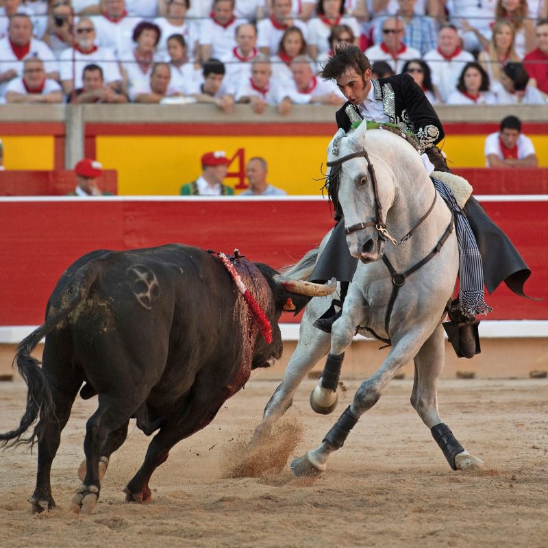 "He hecho méritos para torear más"