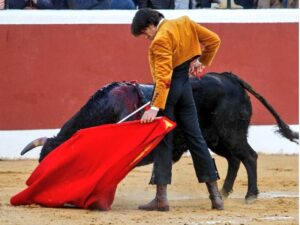 Ventura en Cantillana