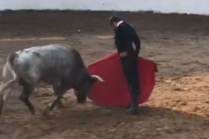 Cogida Joselito Adame en el campo