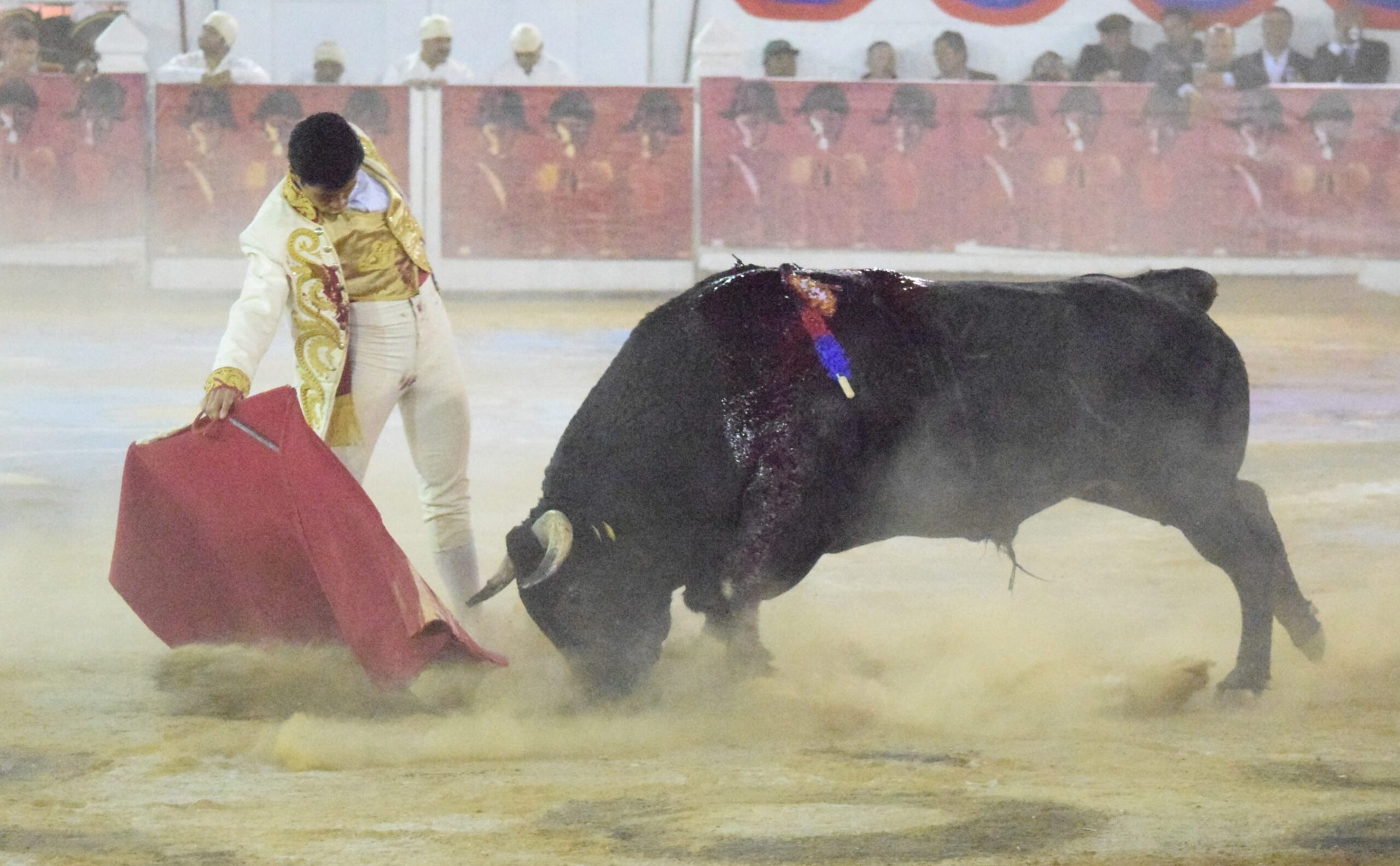 San Miguel de Allende. Corrida de la Insurgencia. 25 de enero de 2019
