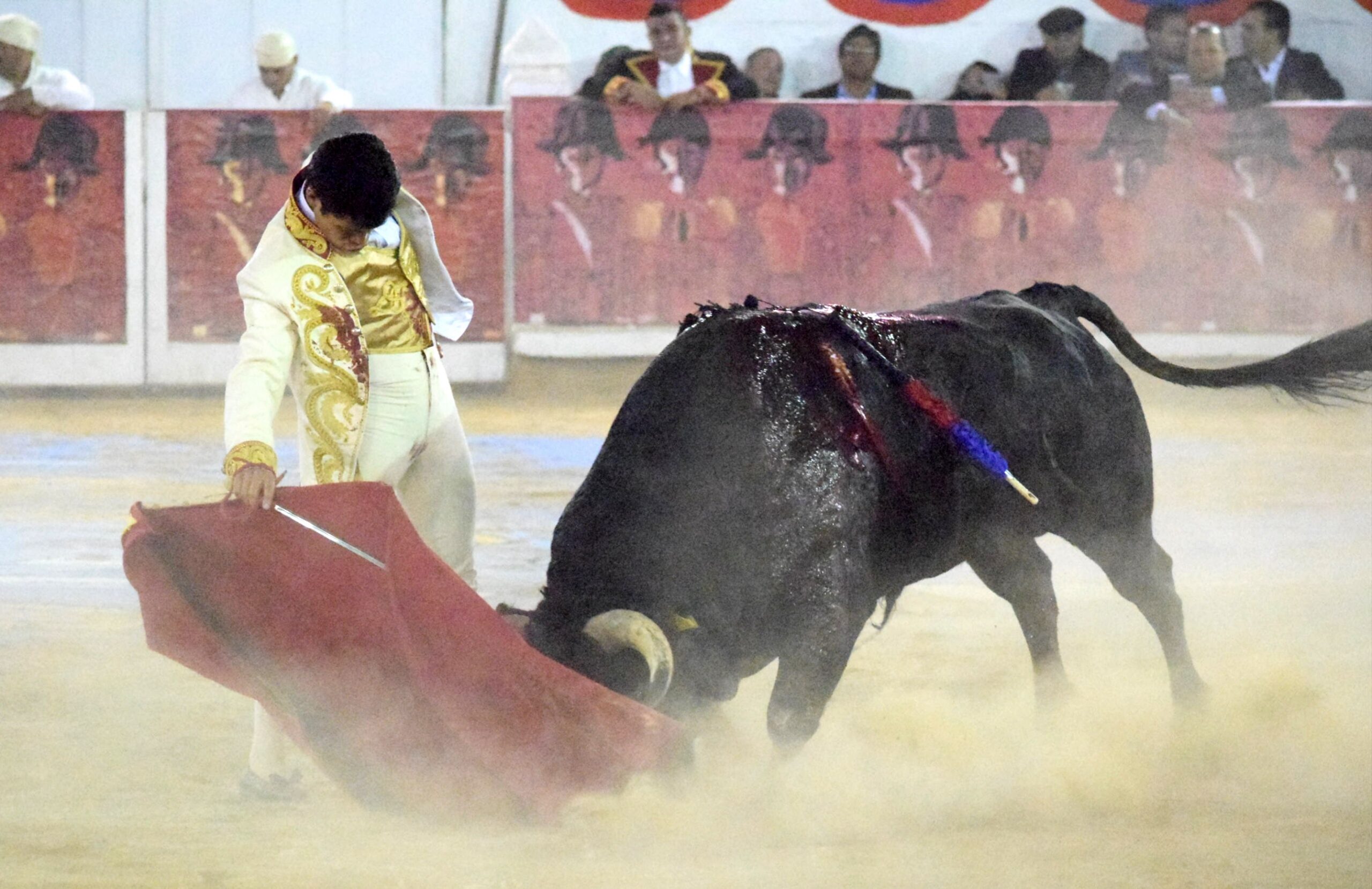 San Miguel de Allende. Corrida de la Insurgencia. 25 de enero de 2019
