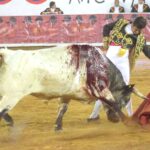San Miguel de Allende. Corrida de la Insurgencia. 25 de enero de 2019