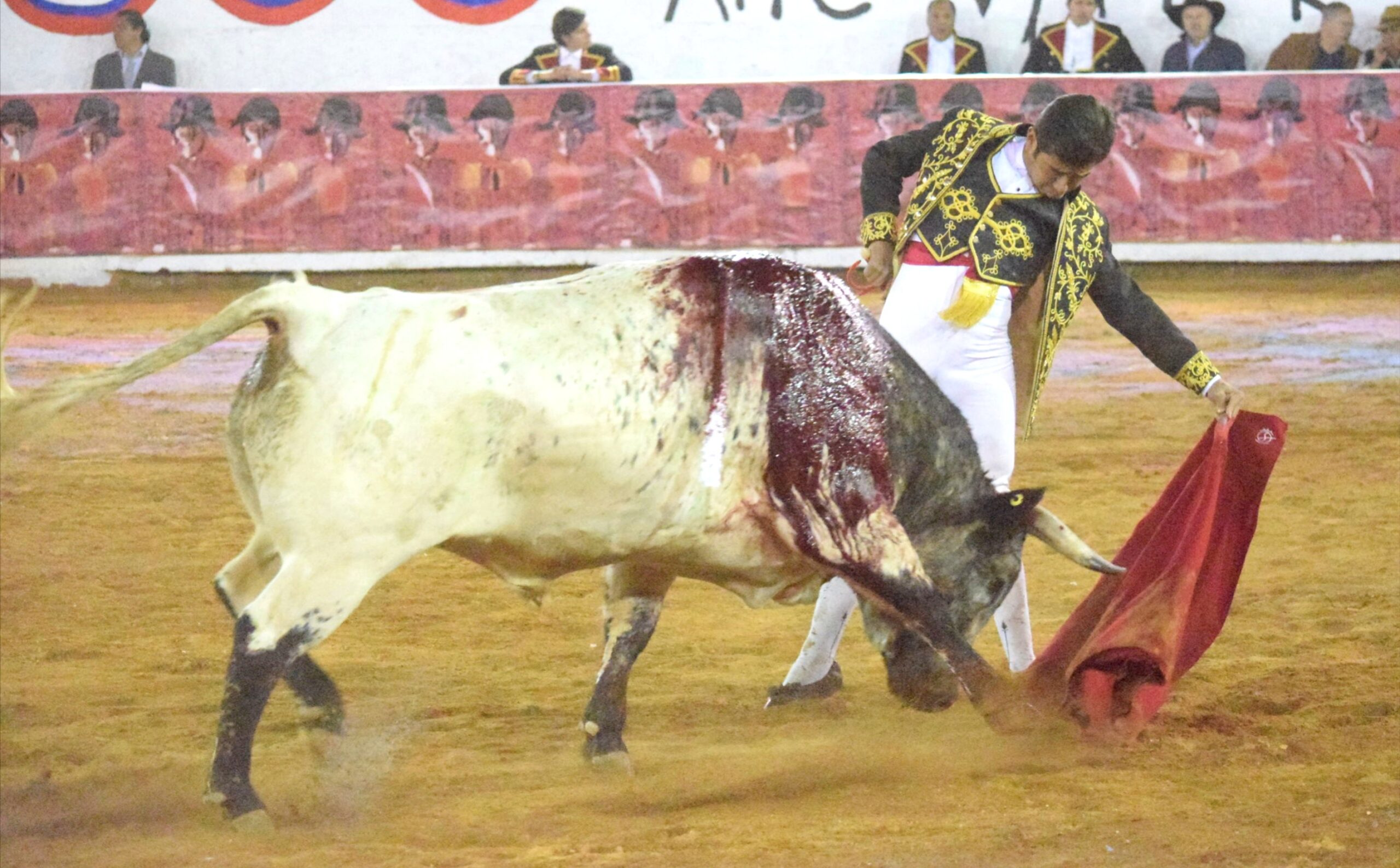 San Miguel de Allende. Corrida de la Insurgencia. 25 de enero de 2019