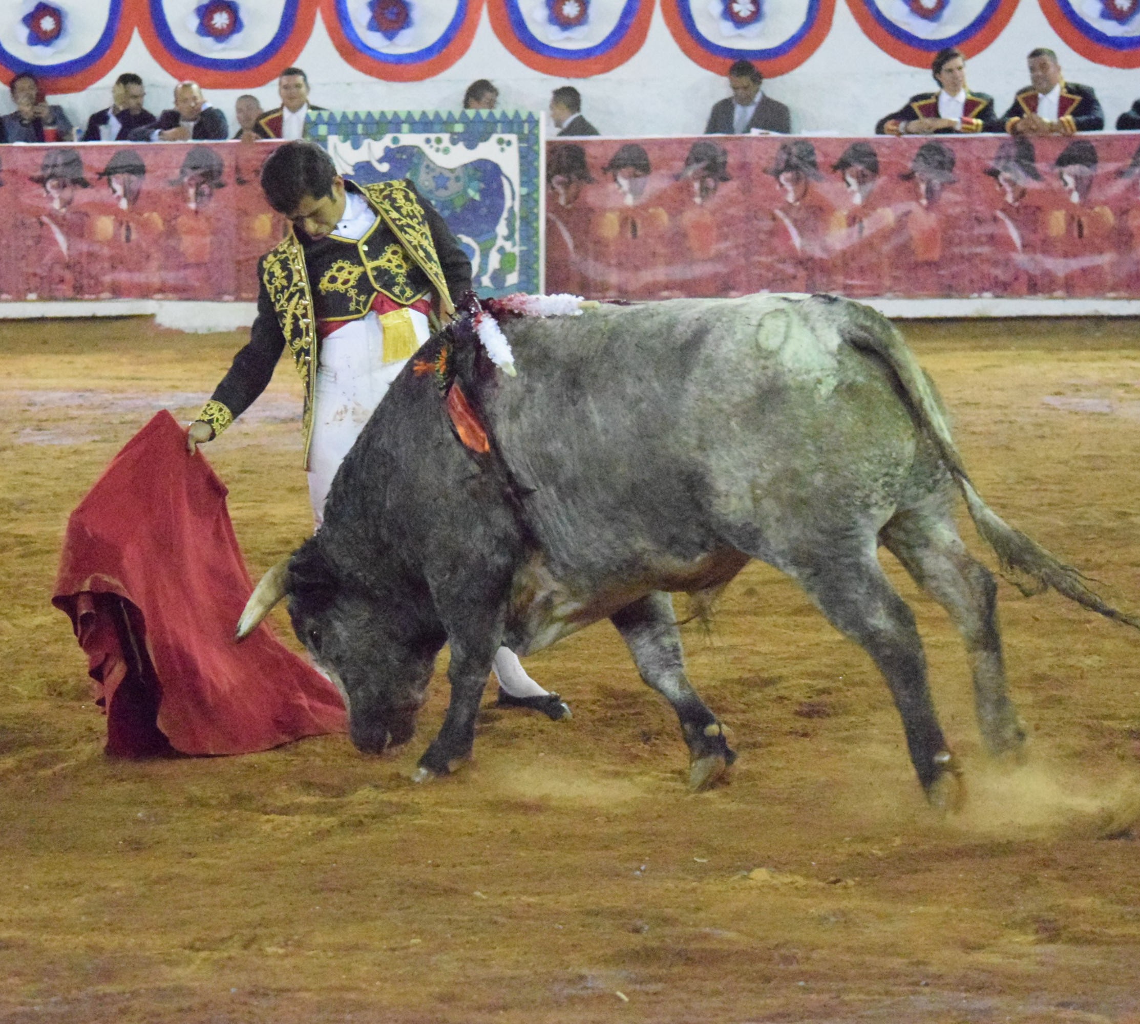 San Miguel de Allende. Corrida de la Insurgencia. 25 de enero de 2019