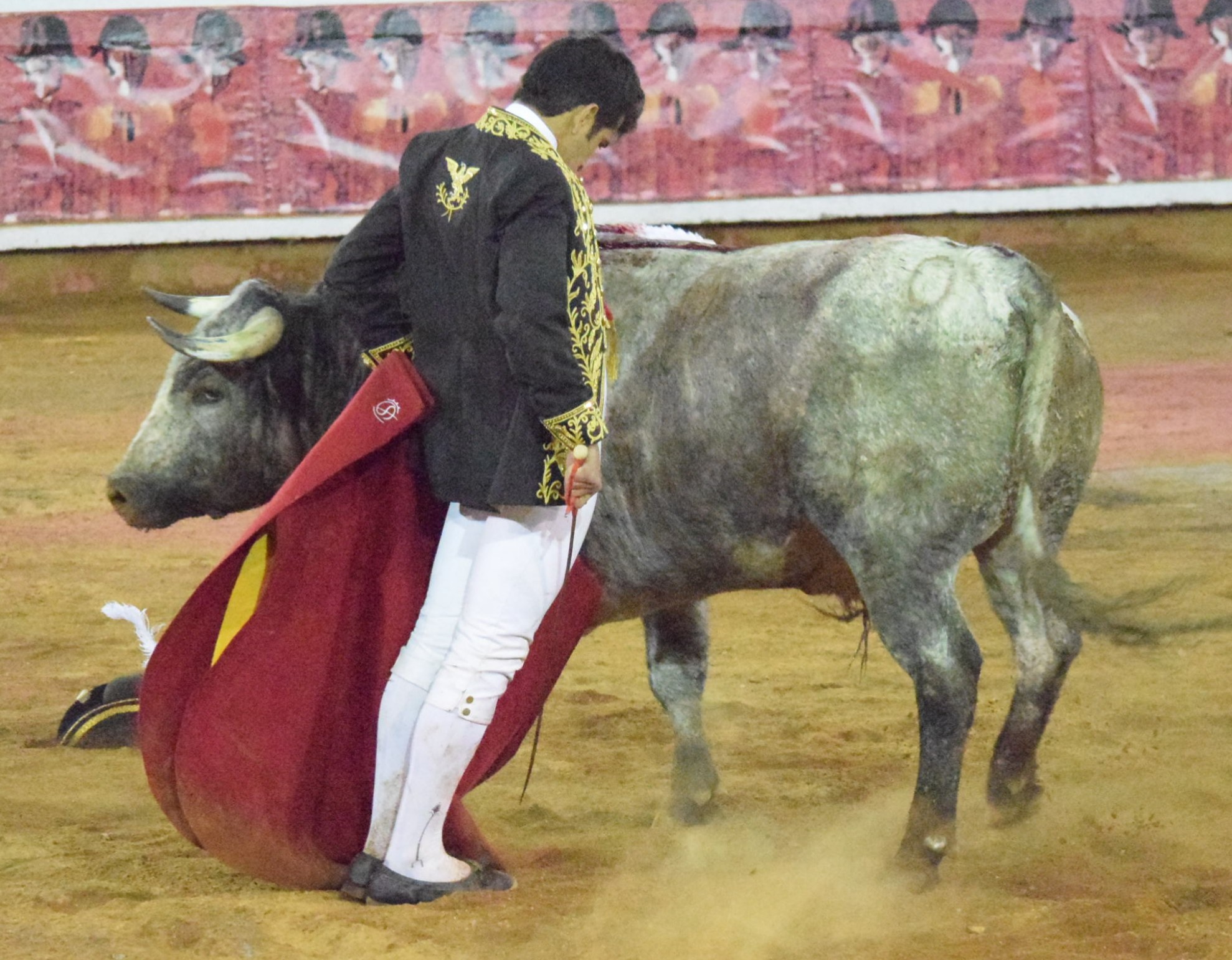 San Miguel de Allende. Corrida de la Insurgencia. 25 de enero de 2019