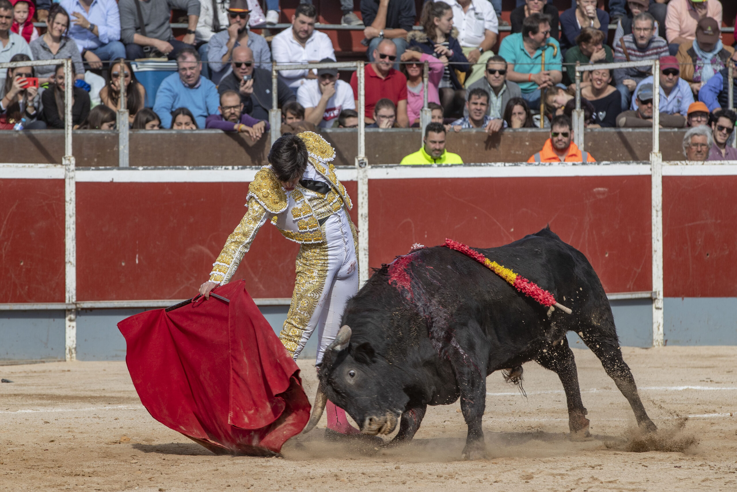 San Javier. 27 de enero de 2019