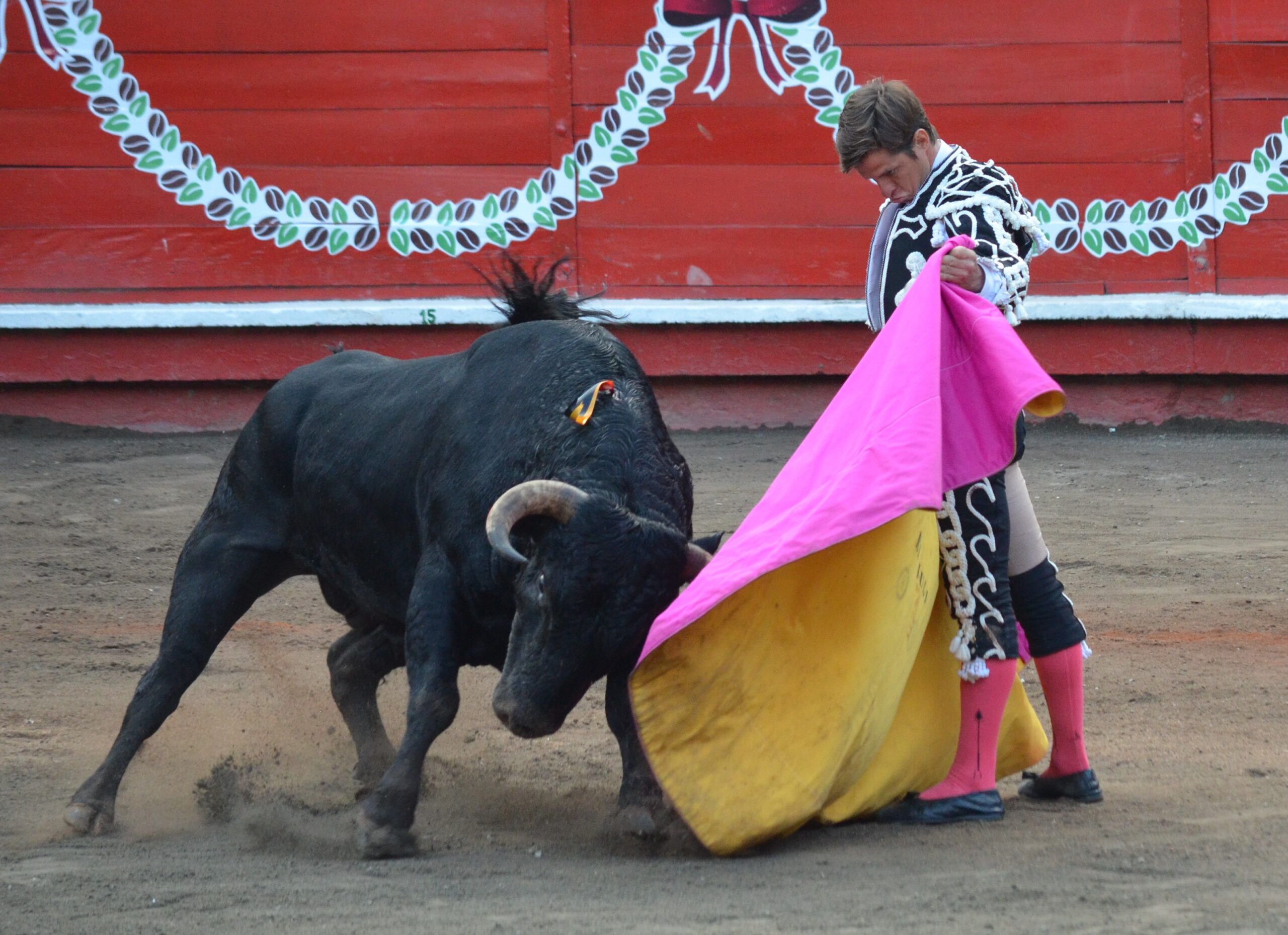 Manizales (Colombia). Sábado 12 de enero de 2019