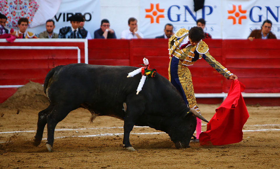 León (México) - Sábado 19 de enero de 2019 - Corrida de toros