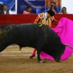 León (México) - Sábado 19 de enero de 2019 - Corrida de toros