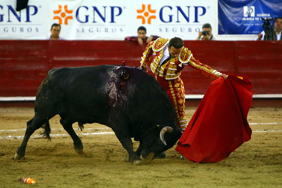 León (México) - Sábado 19 de enero de 2019 - Corrida de toros