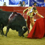 León (México) - Sábado 19 de enero de 2019 - Corrida de toros