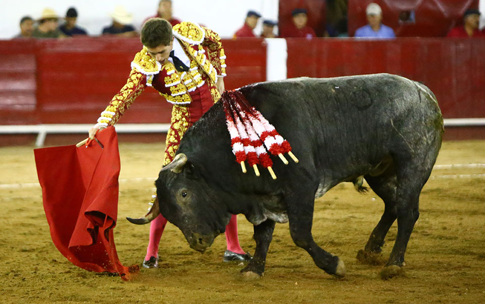 León (México) - Sábado 19 de enero de 2019 - Corrida de toros