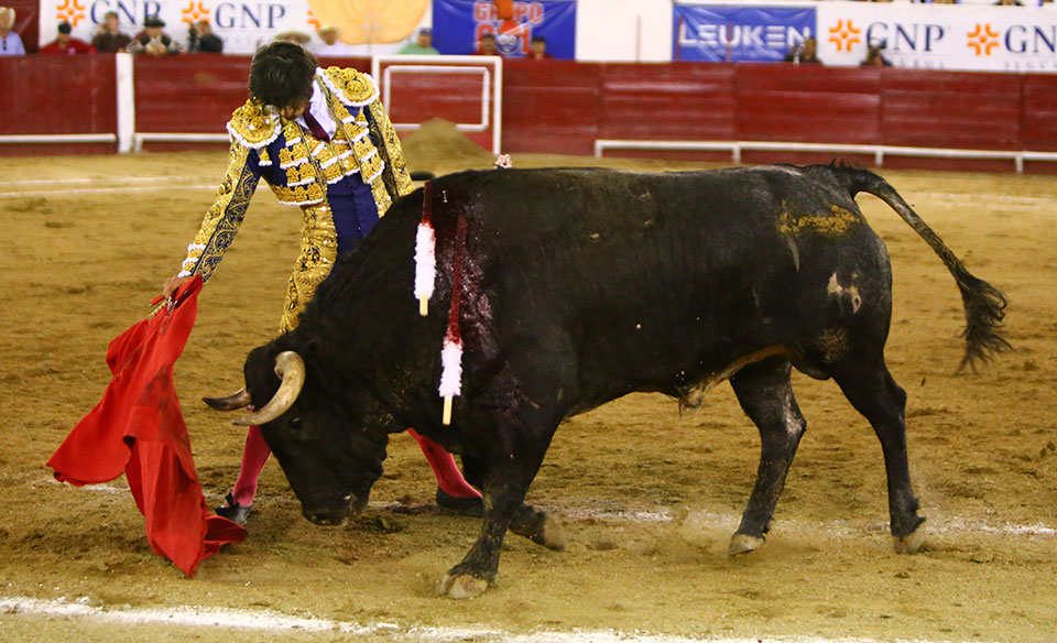 León (México) - Sábado 19 de enero de 2019 - Corrida de toros