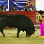 León (México) - Sábado 19 de enero de 2019 - Corrida de toros