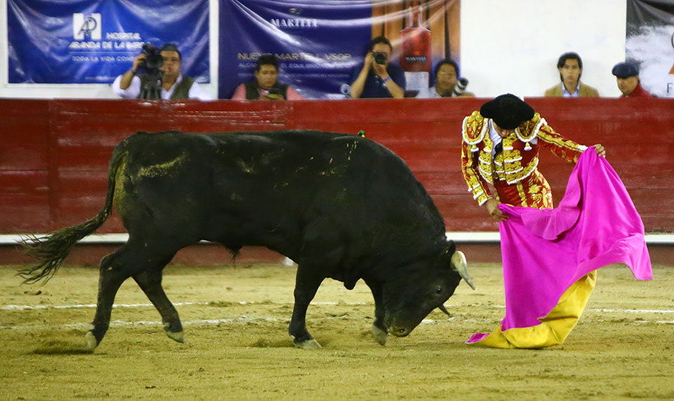 León (México) - Sábado 19 de enero de 2019 - Corrida de toros